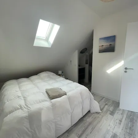 Vakantiehuis Arcachonnaise 5 Chambres, 500m De La Et 6 Velos A Disposition Arcachon